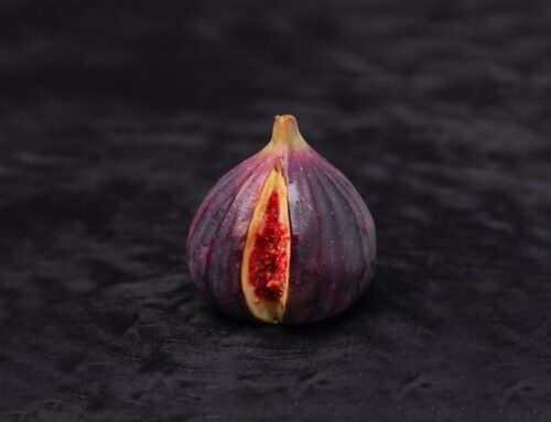 Was ist Vulva Watching?